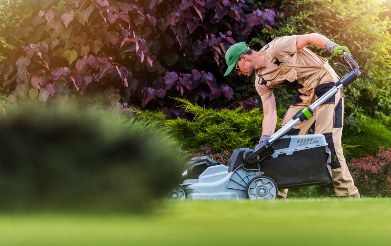 Commercial Lawn Mowing detail