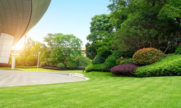Cost of Commercial Lawn Mowing in Auburn