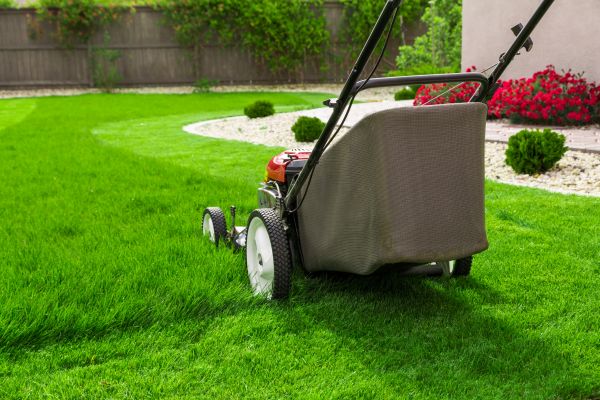 Cost of Lawn Mowing in Auburn
