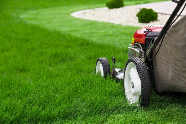 Cost of Mowing Service in Auburn