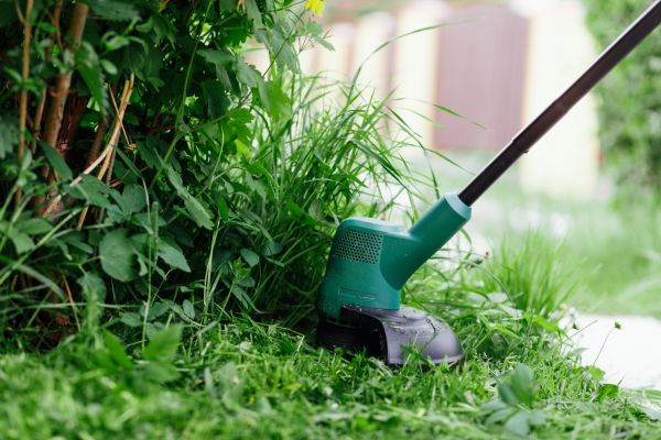 Cost of Weed Whacking in Auburn