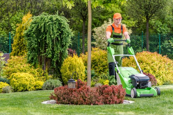 Cost of Yard Service in Auburn