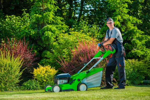 Cost of Yard Work Service in Auburn