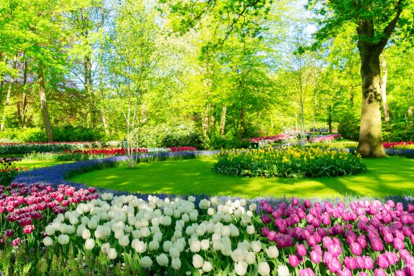 Cost of Spring Lawn Care in Auburn