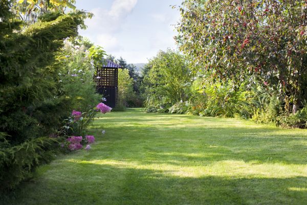 Cost of Yard Upkeep Service in Auburn