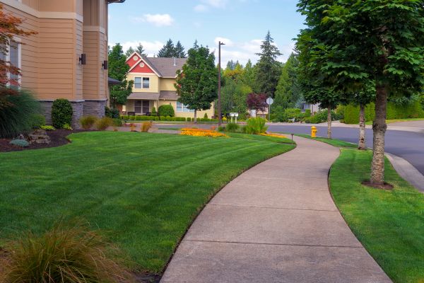 Cost of Home Lawn Maintenance in Auburn