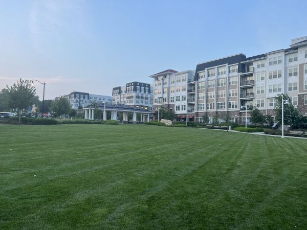 Cost of Urban Lawn Care in Auburn