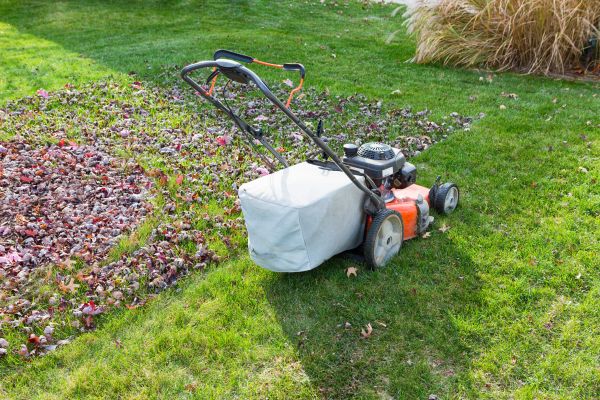 Cost of Seasonal Lawn Care in Auburn