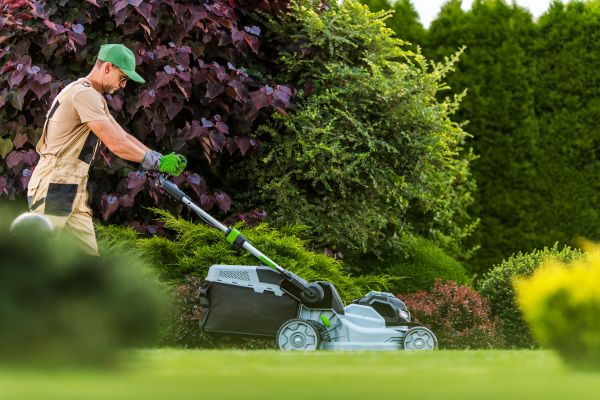 Cost of Lawn Management in Auburn