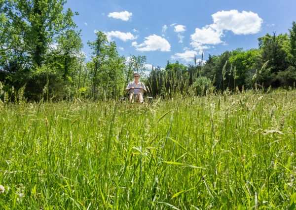 Cost of Long Grass Mowing in Auburn