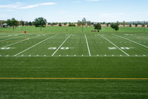 Cost of Groundskeeping Service in Auburn
