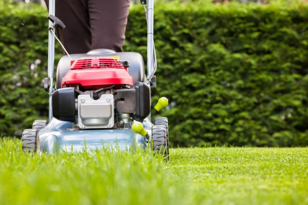 Cost of Grass Trimming Service in Auburn