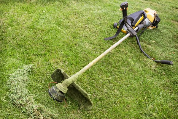 Cost of Hillside Weed Whacking in Auburn