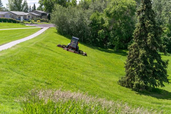 Cost of Hillside Mowing in Auburn