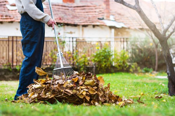 Cost of Routine Lawn Maintenance in Auburn
