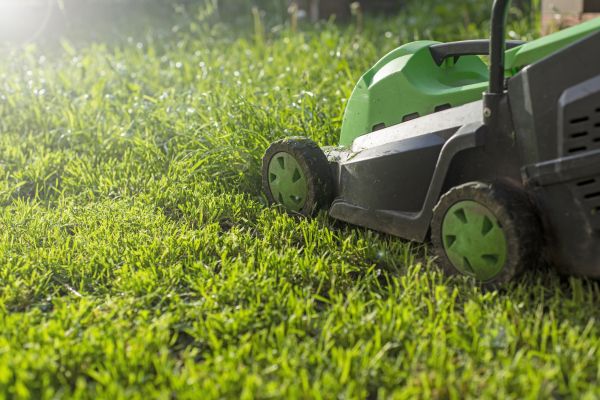Cost of Yard Trimming in Auburn