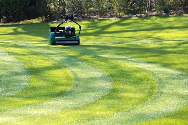 Cost of Business Lawn Mowing in Auburn