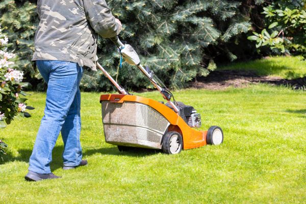 Cost of Springtime Lawn Care in Auburn