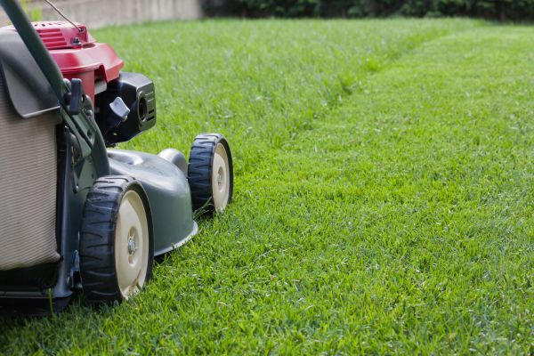 Cost of Spring Lawn Maintenance in Auburn