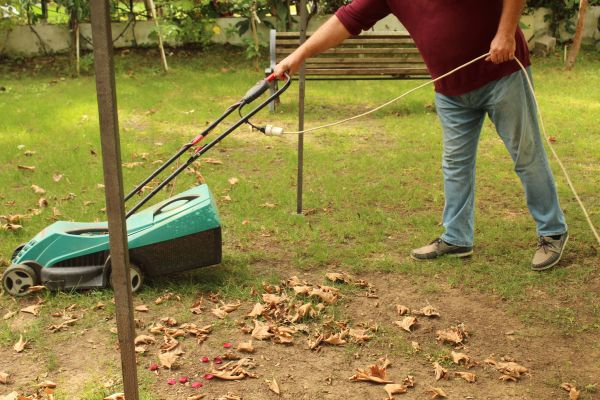 Cost of Leaves Mowing in Auburn