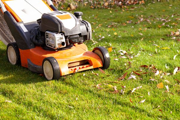 Cost of Fall Mowing in Auburn