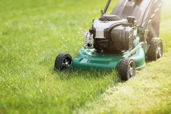 Cost of Spring Grass Trimming in Auburn