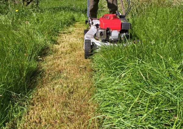 Cost of Leaf Mowing in Auburn