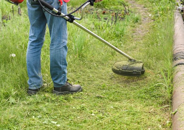 Cost of Tall Grass Trimming in Auburn